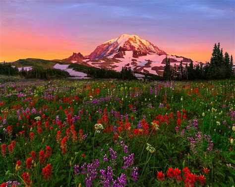 Renewing Your Passion In Photography By Kevin Mcneal Mount Rainier