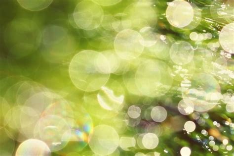 Free Photo Bokeh Background With Sunlight