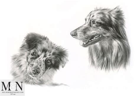 Pencil Drawing Dogs Melanie And Nicholas Pet Portraits