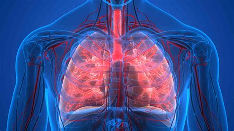 ¿qué Es La Hipoxemia O El Bajo Nivel De Oxígeno En Sangre Muy Salud