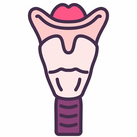 Body Human Internal Larynx Organ Pharynx Trachea Icon Download