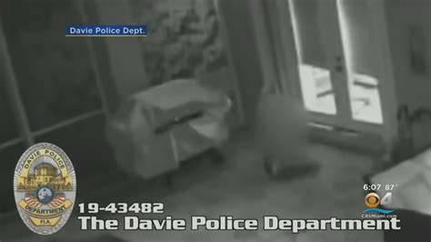 Peeping Tom Caught On Camera In Davie Youtube