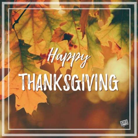 55 Touching Happy Thanksgiving Day Wishes For Everyone Happy