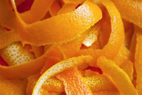 Does Orange Peel Have Any Health Benefits Nutrition Health Benefits