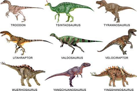 37 Imágenes De Dinosaurios Infografías E Imágenes Para Consultar Y