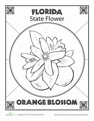 Select from 35970 printable crafts of cartoons, nature, animals, bible and many more. Florida State Flower | Coloring pages, Coloring worksheets ...