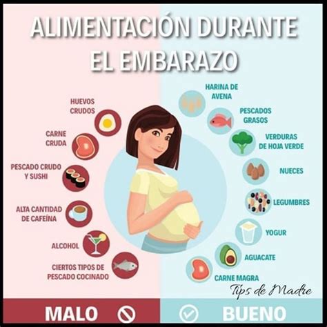 AlimentaciÓn Durante El Embarazo Alimentacion Embarazo Nutrición