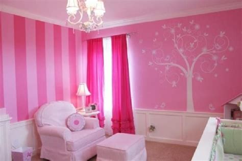 Paint Ideas For Girls Bedrooms Decor Ideas