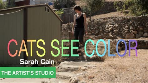 Sarah Cain The Artists Studio Mocatv Youtube