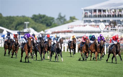 Ascot Racecard Your Ultimate Guide To Fridays 7 Races