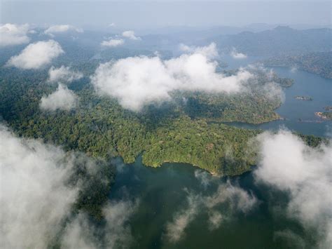 The gunung mulu national park is a national park in miri division, sarawak, malaysia. Ulu Muda - Perbadanan Bekalan Air Pulau Pinang