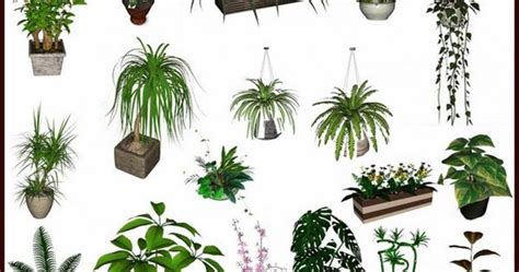 Decor Plant Set Nr4 By Clio Style Pinterest Sims Free Sims And
