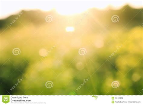 Natural Background With Blurred Green Summer Meadows And Bright Stock