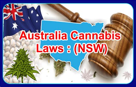 Australia Cannabis Laws New South Wales Aussie Canna Seeds