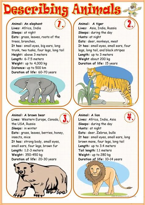 Describing Animals 1 English Esl Worksheets For Distance Learning And
