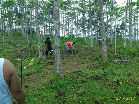 Ahad, 27 agustus 2017 gathering kampung kurma jasinga lokasi jasinga, bogor barat waktu : Kampung Kurma Cipanas - Rumah Syariah KPR