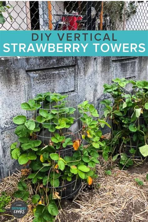 Vertical Strawberry Planter Diy Strawberry Tower In 2021 Strawberry