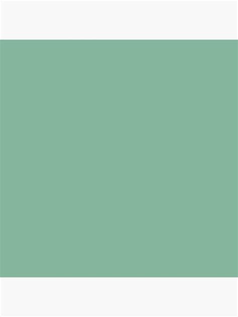 Dark Pastel Mint Green Solid Color Pairs With Farrow And Ball Arsenic