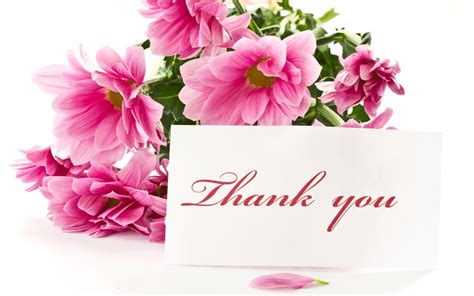 Thank You Card Wallpapers Top Free Thank You Card Backgrounds