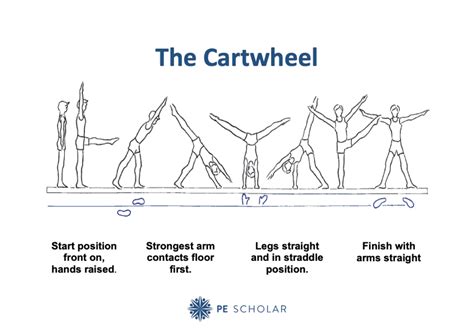 How To Do A Cartwheel In Gymnastics Visual Resource Card Pe Scholar