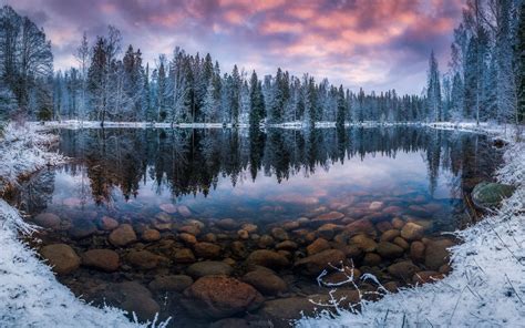 Finland Nature Landscape Winter Snow Morning Sunrise