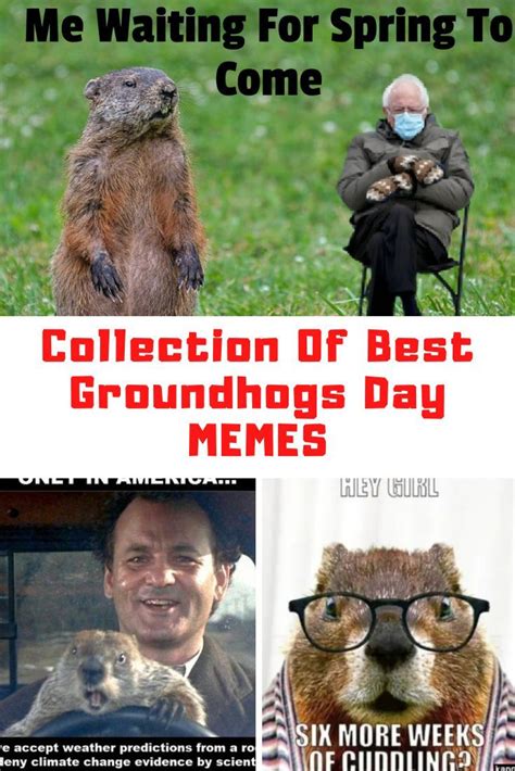 Collection Of Groundhogs Day Memes 2021 Guide For Geek Moms In 2021 Groundhog Day Memes