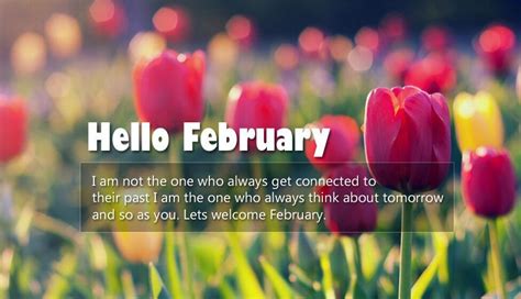 Hello February Images Pictures Quotes And Pics 2023