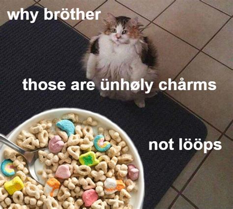Brøther The Lööps Cat Has Passed Away And Here Are All Her Best Memes