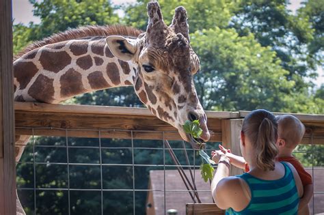 Plumpton Park Zoo Is The Most Underrated Animal Park In Maryland
