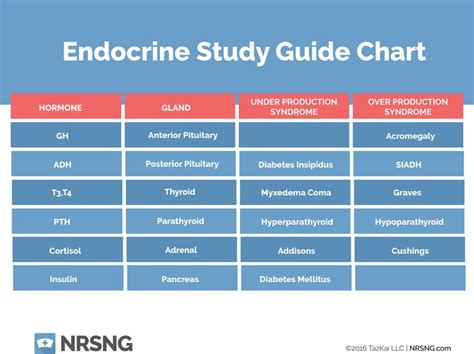 Endocrine System Study Guide With Answers Qanda Endocrine