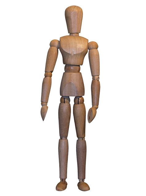 Doll Body Model Wooden Free Photo On Pixabay