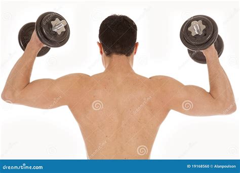 Shirtless Man Weights Up Back Stock Photo Image Of Exercise Isolated