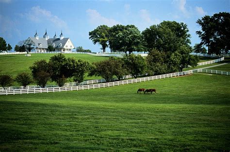 Usa Kentucky Lexington Horse Farm Photograph By Glen