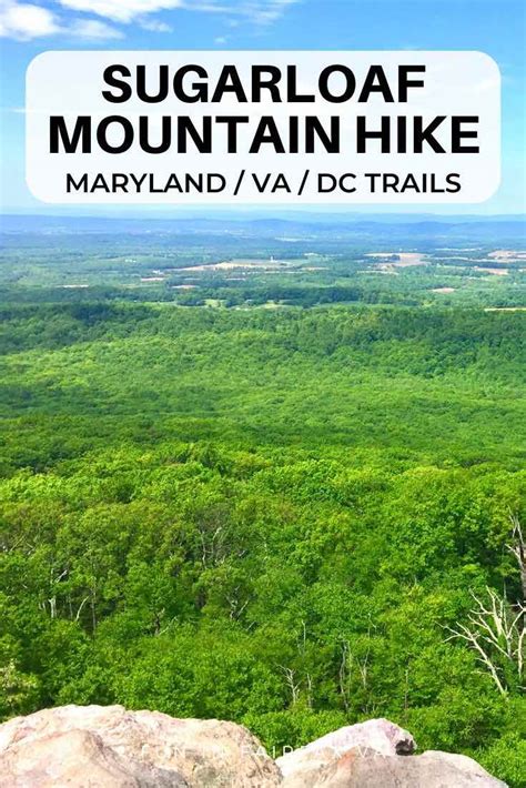 Sugarloaf Mountain Hike To Beautiful Maryland Views Fun In Fairfax Va