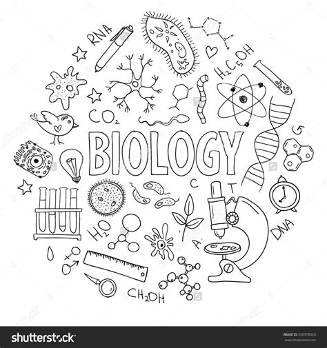 Biology Drawings At Explore Collection Of Biology