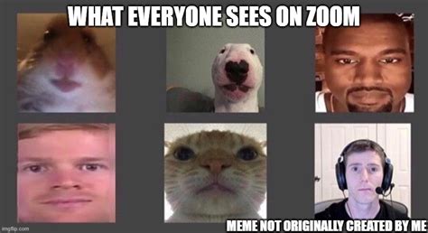Zoom Meme Generator Captions Ideas