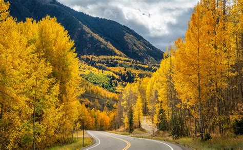 The Insiders Guide To Aspen Fall Colors And Foliage Aspen Signature