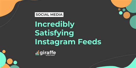 Incredibly Satisfying Instagram Feeds Giraffe Social