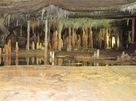 Buchan Caves Spelunking Victoria Australia Tours