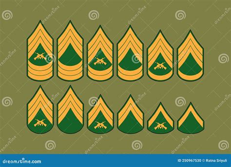 Army Enlisted Rank Design Vector Flat Illustration Stock Vector