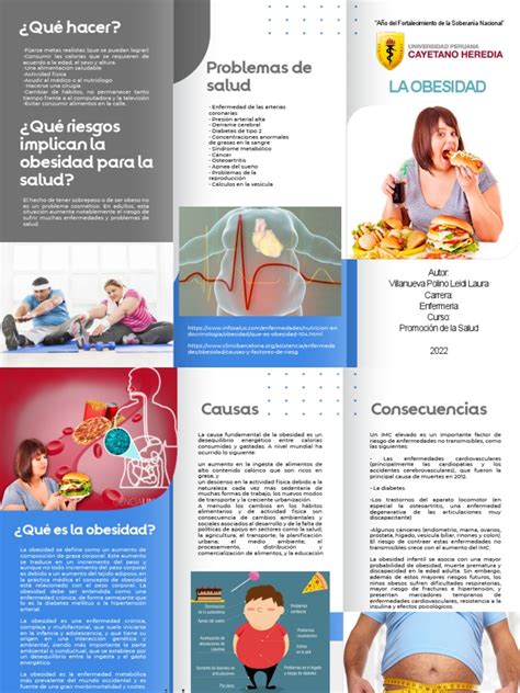 triptico obesidad pdf obesidad enfermedades cardiovasculares