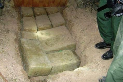 Maybe you would like to learn more about one of these? Bahçıvan, Pablo Escobar'ın kayıp 600 milyon dolarını buldu ...