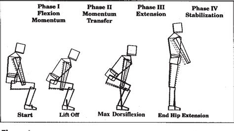 Pdf Whole Body Movements During Rising To Standing From Sitting