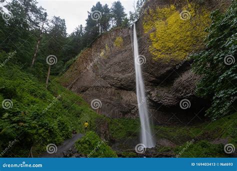 Latourell Falls Portland Oregon Stock Image Image Of Moss Gorge