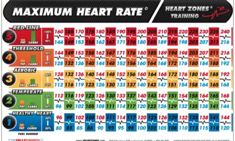 Reach Max Heart Rate Quickly Minimaljullla