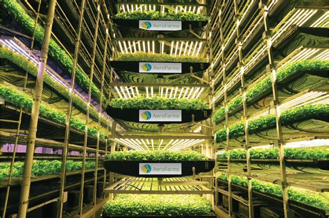 Vertical Farming The Key To Sustainably Feeding 9 Billion People By 2050