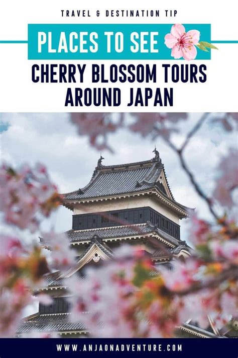 10 Stunning Japan Cherry Blossom Tours That You Will Absolutely Love In