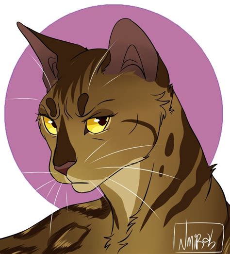 Leopardstar Of Riverclan She Is A Great Leader And Has A Wonderful