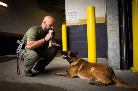 K9 Unit Plays Crucial Role For Law Enforcement Statewide News Center