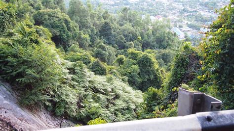 Kawasan riadah kuala terengganu @twt_terengganu iaitu bukit besar ditutup pada 29 & 30. jejalan2je: Jogging: Bukit Besar, Kuala Terengganu.